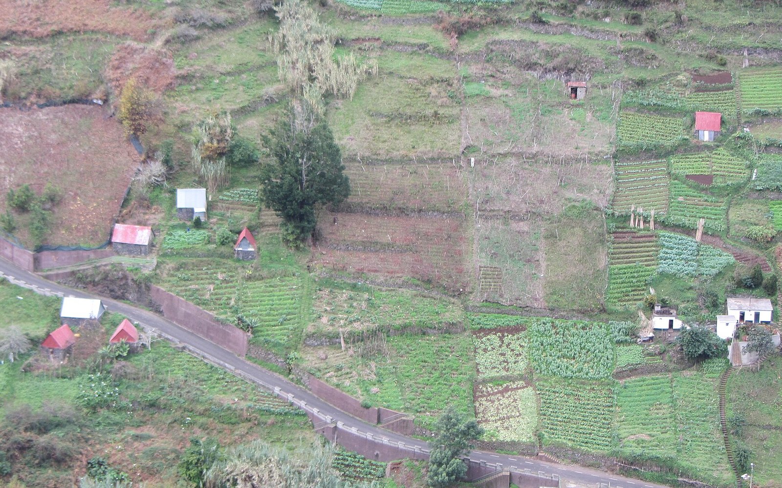 Building on a slope in Madeira: siting, retaining walls and access